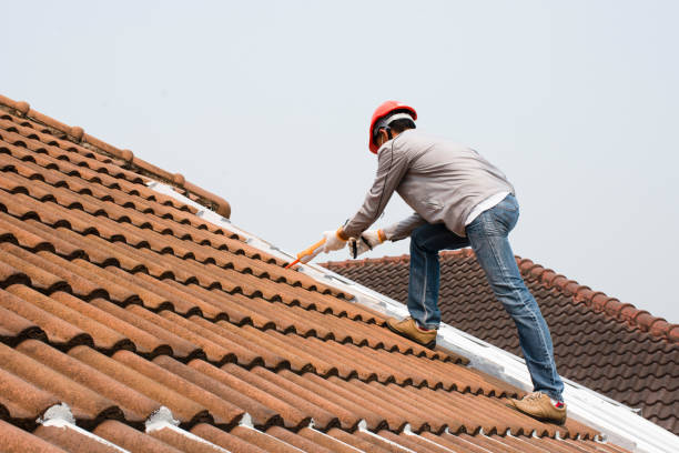 Best Gutter Installation and Repair  in Maan, ND