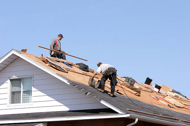 Best Solar Panel Roofing Installation  in Maan, ND